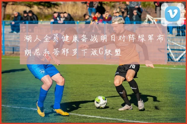 湖人全员健康备战明日对阵绿军布朗尼和蒂耶罗下放G联盟