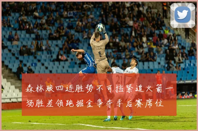 森林狼四连胜势不可挡紧追火箭一场胜差领跑掘金争夺季后赛席位